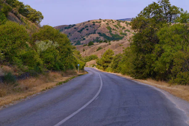 istock Asphalted road down through the bare hills, on the side of which trees grow 1001536826