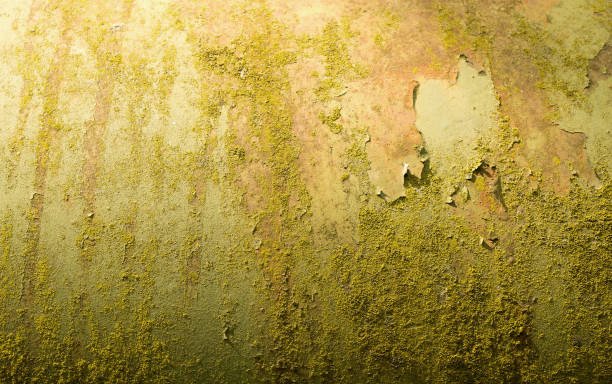 istock Texture of an old  paint on a wooden bench 1001548978
