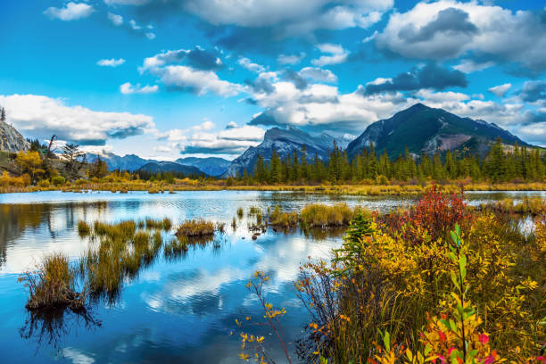 istock Group of lakes in the Banff 1001555976