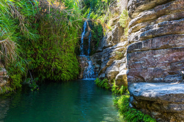 istock The pond with turquoise water 1001555992