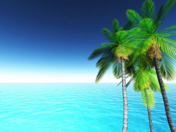 istock 3D tropical landscape with palm trees and blue ocean 1001558564
