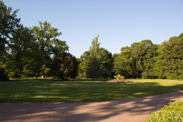 istock Beautiful view in the summer Park 1001562992