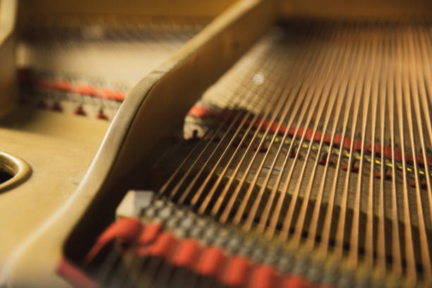 istock The inside of a classical  grand piano instrument with copper cord strings. 1001566116