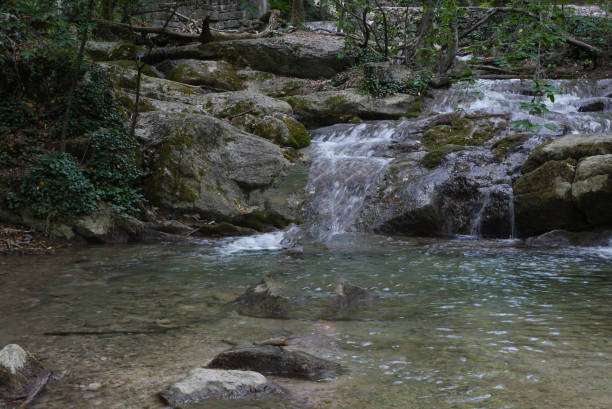 istock transparent spring water flowing descendingly over large stones covered with moss 1001567238