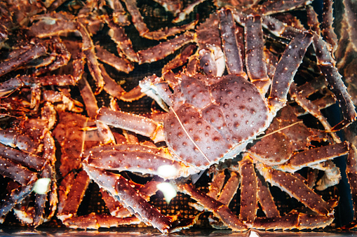 Live Japanese King crab Taraba in water at Sapporo fish market, Hokkaido. Top view shot