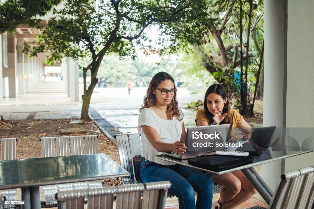 Two Hispanic Female Students, Collaborating And Explaining They Are Seated Outdoors Working On Laptops Girls sat at an outdoor desk working together on laptops, these two Hispanic university students are conversing and assisting one another, in the background the campus is blurred, with unidentifiable buildings and greenery, these friends are real people. University Stock Photo