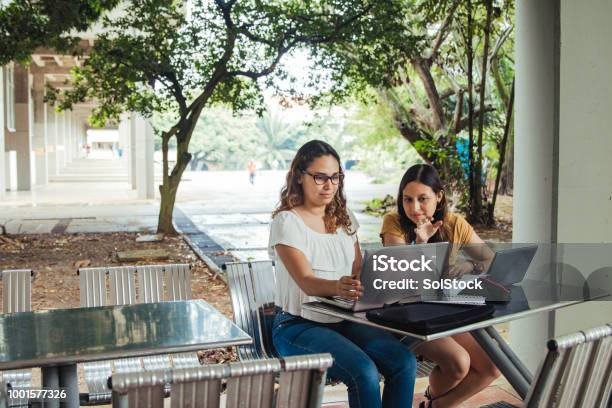 Two Hispanic Female Students Collaborating And Explaining They Are Seated Outdoors Working On Laptops Stock Photo - Download Image Now
