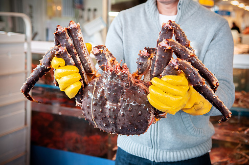 Nov 23, 2013 Sapporo, Hokkaido, JAPAN - Seller hold large Japanese King crab Taraba in hands at Sapporo fish market, Hokkaido