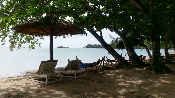 istock Tropical beach with lazy chairs under trees 1001580760