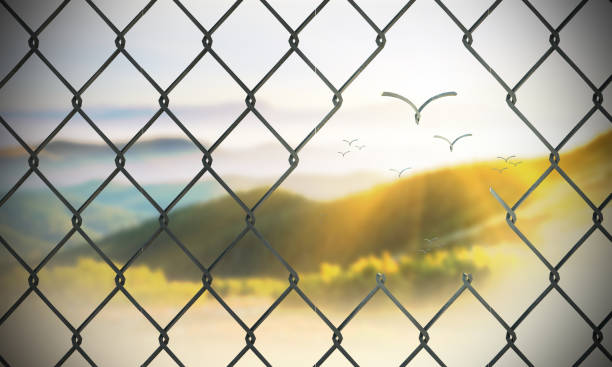 Flying Away To Freedom Flying away to freedom like birds with chainlink fence system. ( 3d render ) breaking free from chains stock pictures, royalty-free photos & images