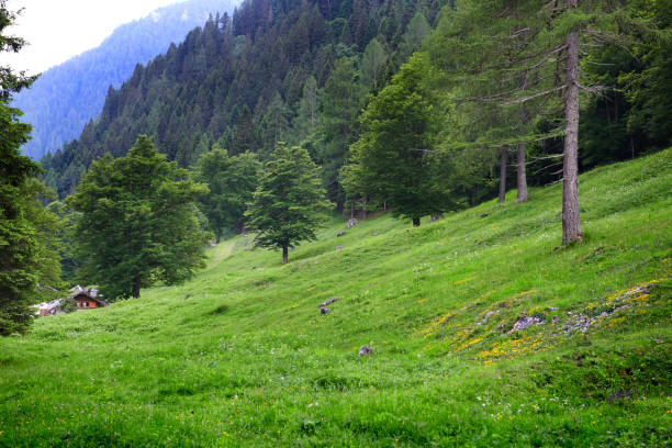 Valley in the mountain range 