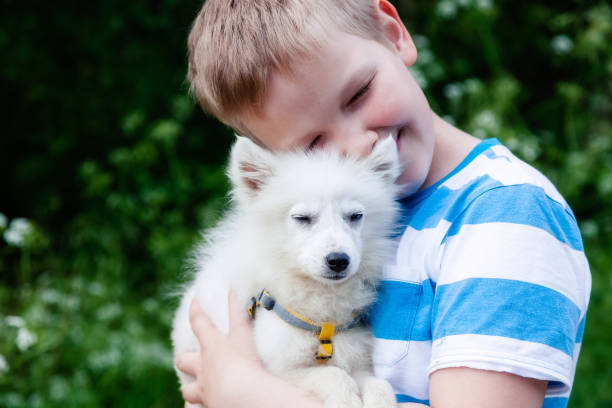 istock Dog is sitting on the hands of a man 1001584190