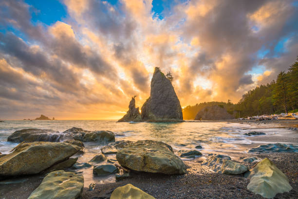 istock Park, Washington, USA Beach 1001584410