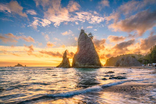 istock Park, Washington, USA Beach 1001587852