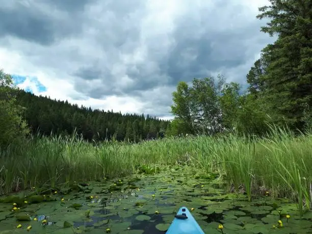 Kayaking St.Marys Lake