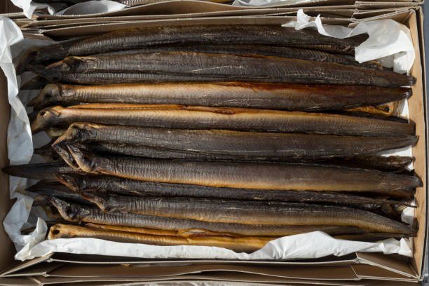 vers gerookte paling in een kartonnen doos - paling nederland stockfoto's en -beelden