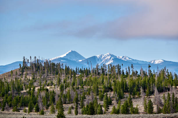 istock Rocky Mountains, Colorado, USA 1001595550