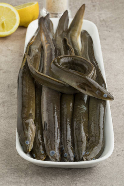 plaat met verse rauwe paling - paling nederland stockfoto's en -beelden
