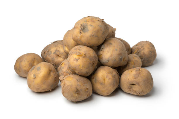Heap of organic Opperdoezer potatoes