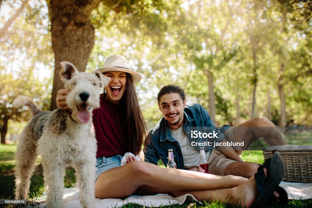 Couple on picnic with pet dog Smiling young couple on picnic at park with their pet dog. Laughing woman caresses a dog with man sitting by in the park. Young Couple Stock Photo