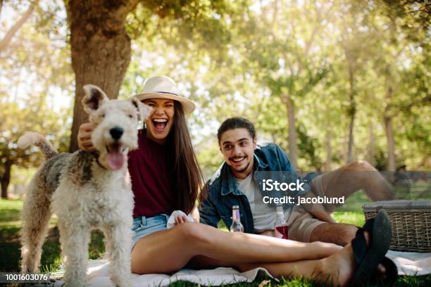 Couple On Picnic With Pet Dog Stock Photo - Download Image Now - Young Couple, Dog, Couple - Relationship