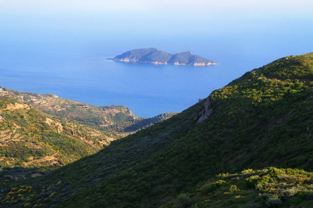 istock beautiful green island in the sea 1001608242