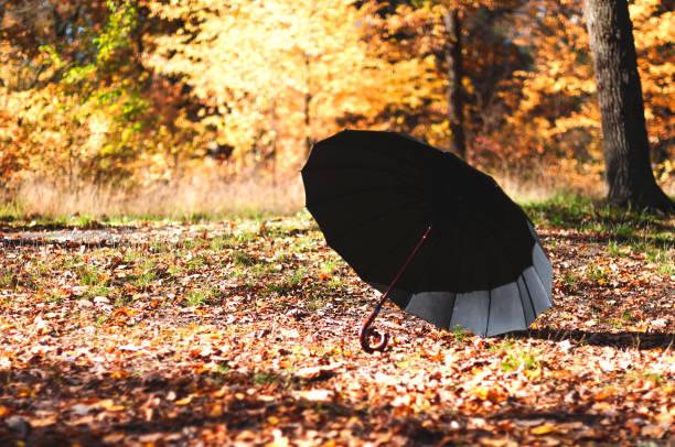 istock black open umbrella in an autumn park 1001614554