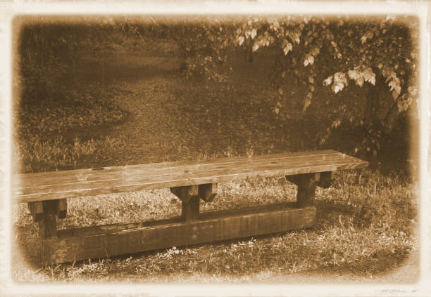 Solitary, weathered park bench in the rain sitting in front of a pond