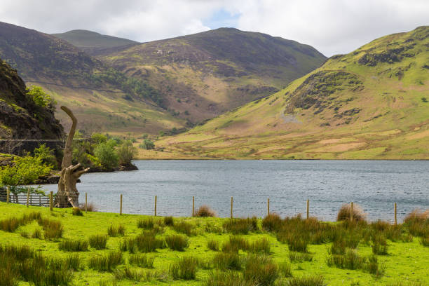 istock Crummock Water and mountain view, Lake District National, Cumbria 1001625228