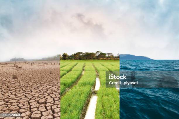 Climate Change And World Environmental Stock Photo - Download Image Now - Climate Change, Climate, Risk