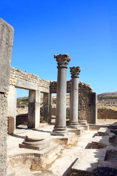 istock Columns on Decumanus Maximus Street, Volubilis, Morocco 1001635066