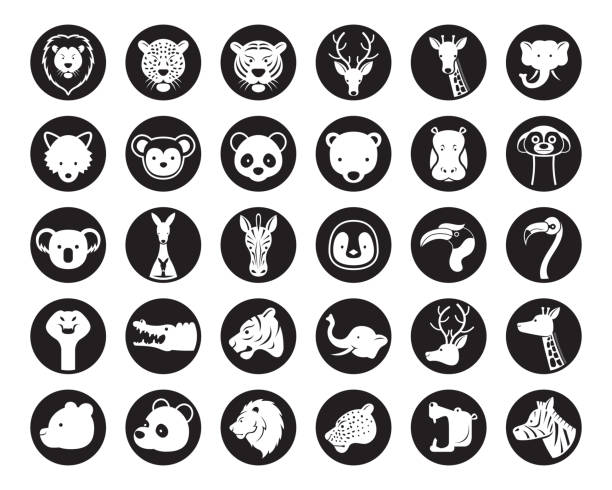 ilustrações, clipart, desenhos animados e ícones de animais selvagens cabeça vetor silhueta conjunto - bucerotidae