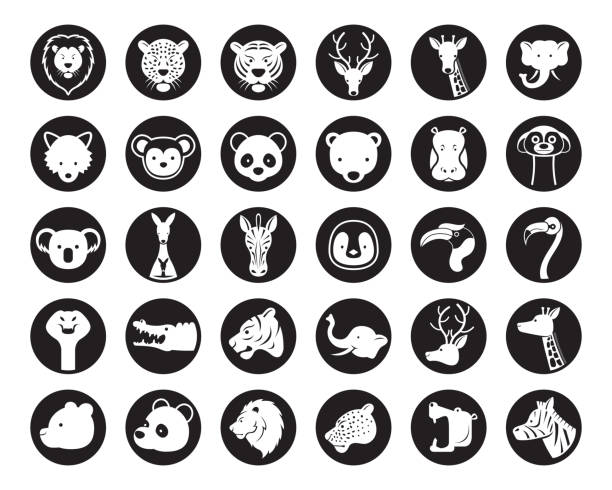 Wild Animals Head Vector Silhouette Set Zoo, Safari, Icons and Symbols hornbill stock illustrations