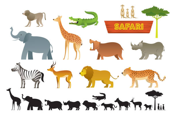 アフリカのサファリの動物セット - animal cartoon zoo safari点のイラスト素材／クリップアート素材／マンガ素材／アイコン素材
