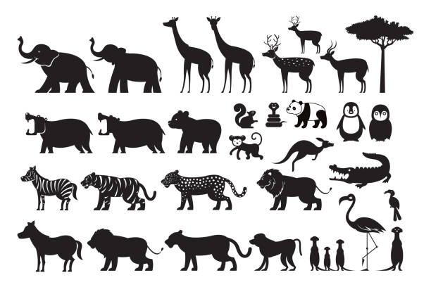 Wild Animals Silhouette Vector Set Zoo, Safari, Front view and Side View elephant symbols stock illustrations