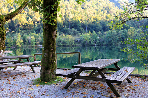 Picnic table and bench at a bautiful lake shore with a forest in the background