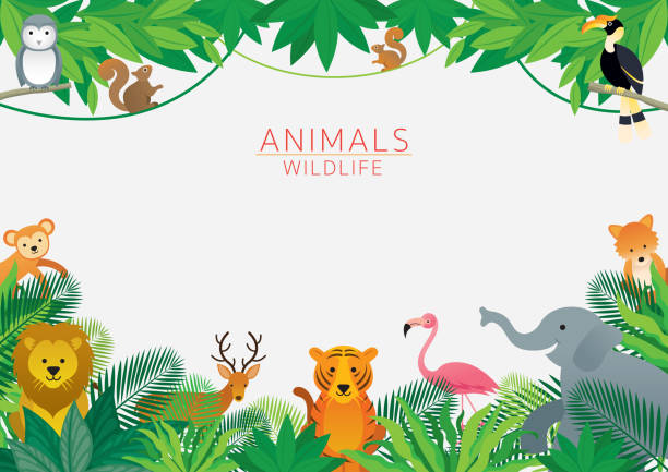 bildbanksillustrationer, clip art samt tecknat material och ikoner med vilda djur i djungeln, ram - zoo