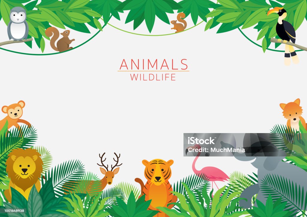 Wild Animals In Jungle Frame Stock Illustration - Download Image Now - Zoo,  Animal, Frame - Border - iStock