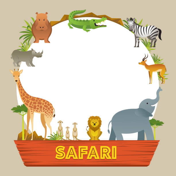 Nhóm Khung Động Vật Safari Châu Phi Hình minh họa Sẵn có - Tải xuống Hình  ảnh Ngay bây giờ - Châu Phi, Cuộc phiêu lưu - Khái niệm, Cá sấu - iStock
