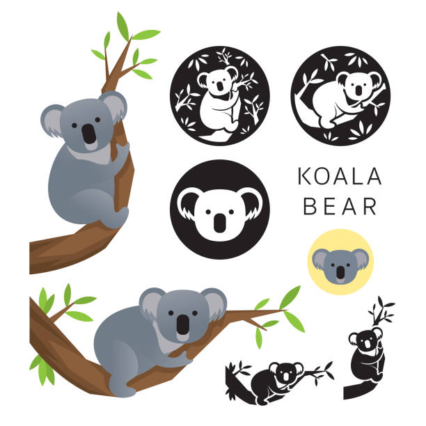 Koala Bear Vector Set on the Tree, Silhouette and Icon koala tree stock illustrations