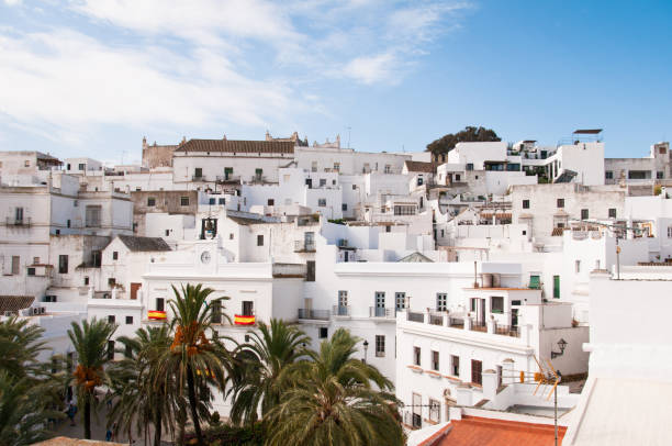 excelentes vistas superiores de vejer branco cidade e palmeiras na praça principal pela prefeitura na província de cádiz, espanha - spain tower town square andalusia - fotografias e filmes do acervo