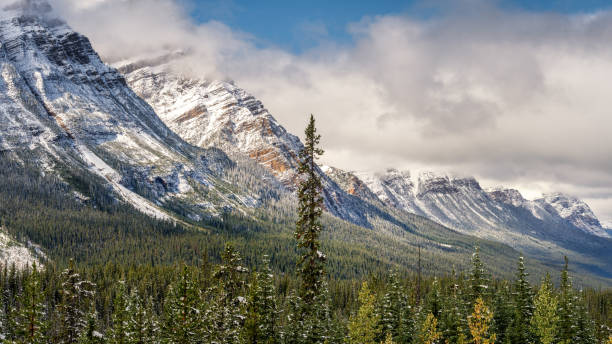 istock Autumn day at Bow Summit on the Icefields Parkway - Bow Pass in Banff National Park 1001653874