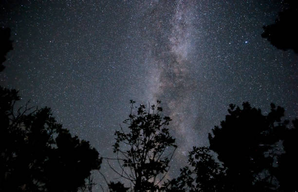 istock Milky Way in the night sky over the forest 1001653958