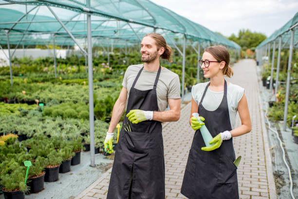 istock Workers supervising plants in the greenhouse 1001654144