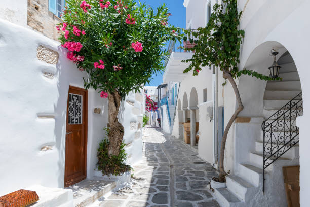 les cyclades typiques, des ruelles blanchies à la chaux avec des fleurs colorées à parikia sur l’île de paros - tradition grecque photos et images de collection