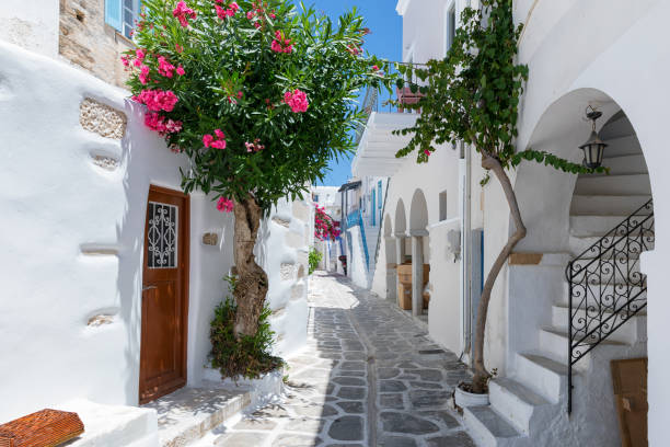 The typical cycladic, whitewashed alleys with colorful flowers at Parikia on the island of Paros The typical cycladic, whitewashed alleys with colorful flowers at Parikia on the island of Paros, Cyclades, Greece, during summer time greece stock pictures, royalty-free photos & images