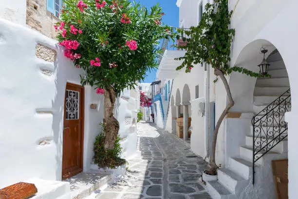 The typical cycladic, whitewashed alleys with colorful flowers at Parikia on the island of Paros, Cyclades, Greece, during summer time