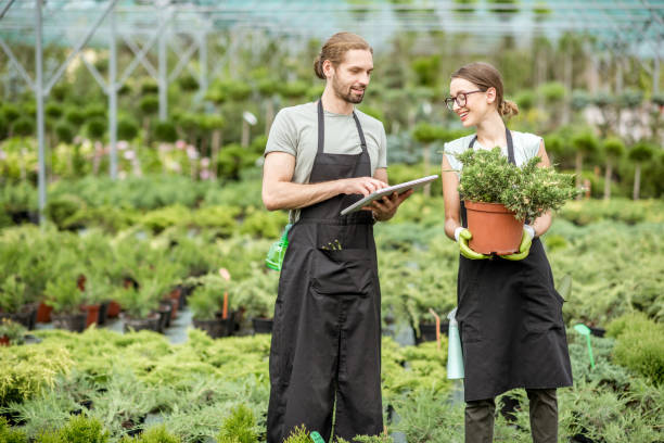istock Workers with tablet in the greenhouse 1001657586