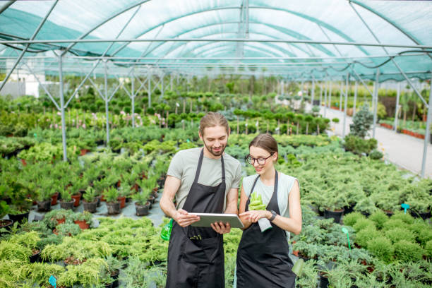 istock Workers with tablet in the greenhouse 1001657676