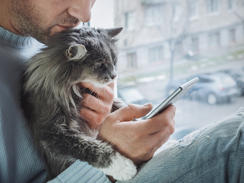 Joven se sienta en el alféizar de la ventana, es gatito en su regazo y lee noticias photo